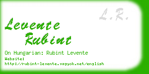 levente rubint business card